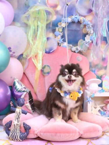 20240802ラブちゃん